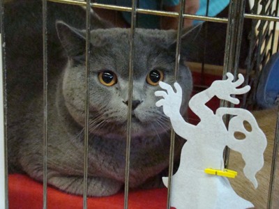 20121021_43 (Expo)
